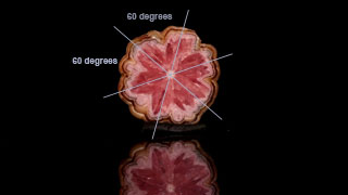 Trapiche Rhodochrosite